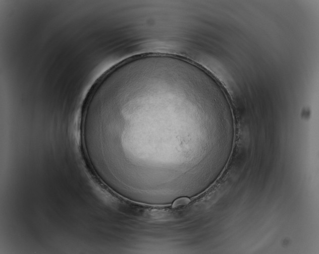 X0000102861128200809021418