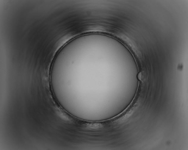 X0000102861129200809021418