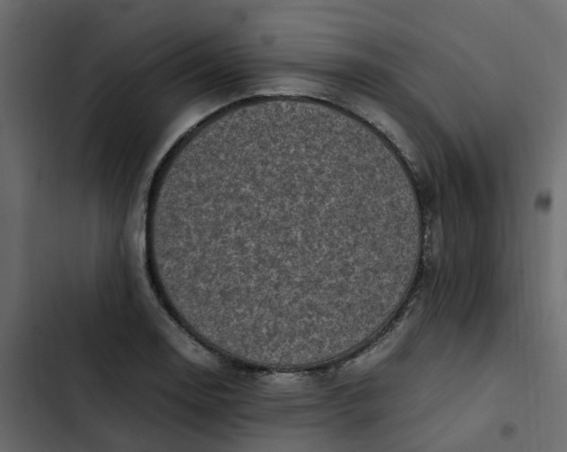 X0000102861130200809021418