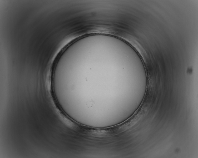 X0000102861131200809021418