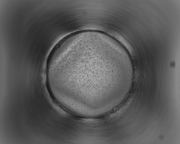 X0000102861132200809021418