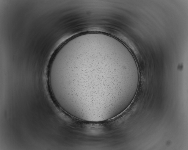 X0000102861133200809021418