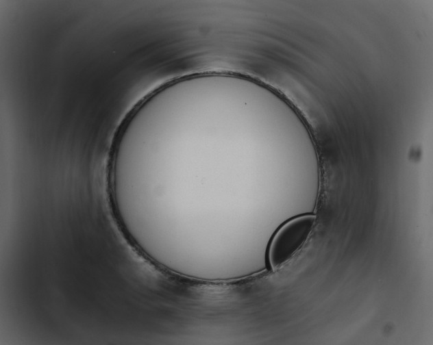 X0000102861134200809021418