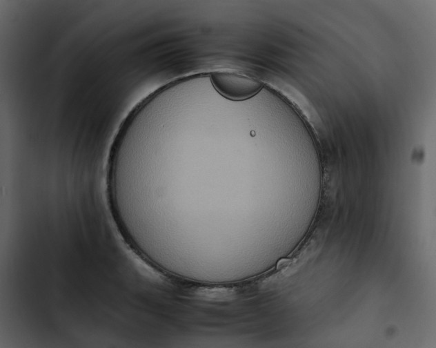 X0000102861135200809021418