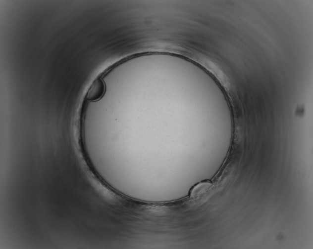 X0000102861136200809021418