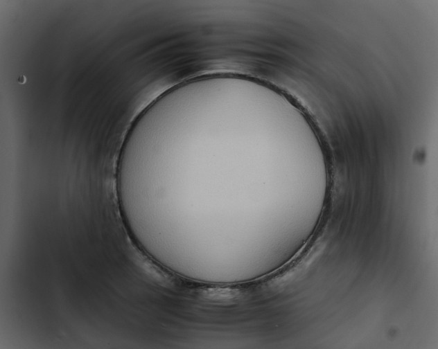 X0000102861137200809021418