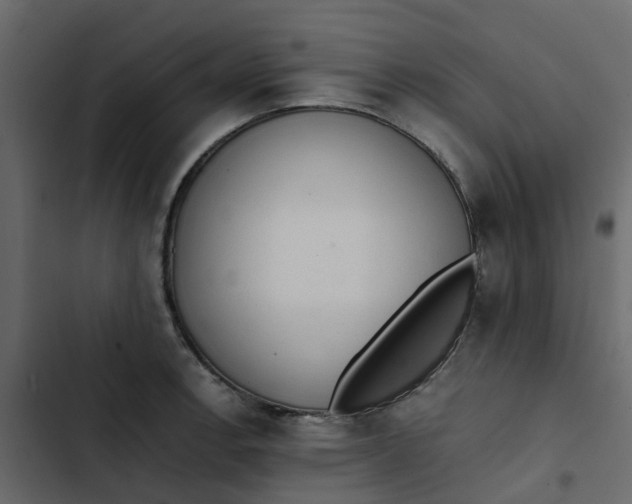 X0000102861138200809021418