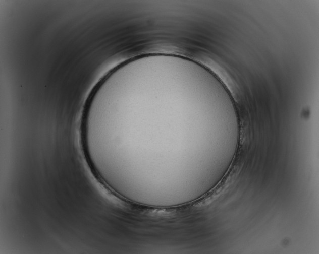 X0000102861139200809021418