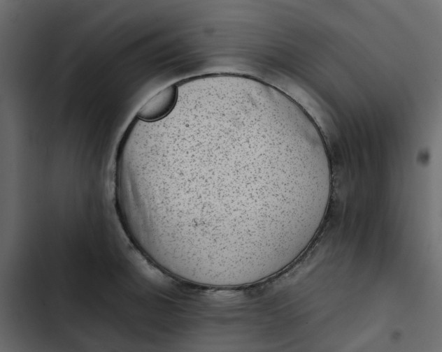 X0000102861140200809021418