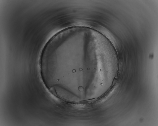 X0000102861141200809021418