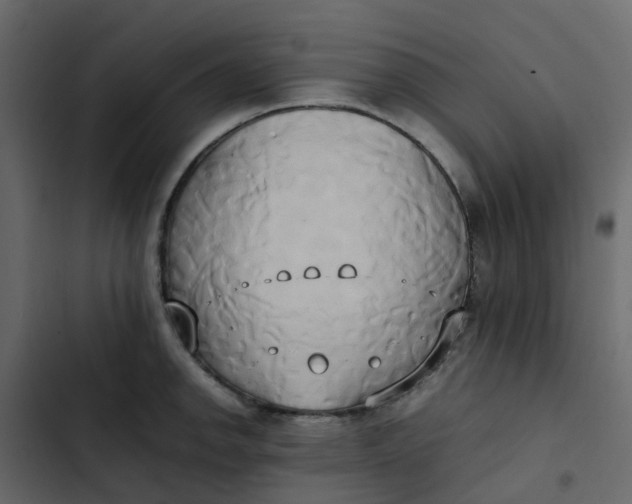 X0000102861142200809021418