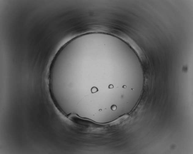 X0000102861143200809021418