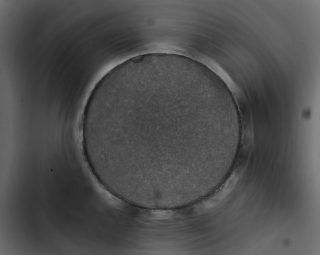 X0000102861144200809021418