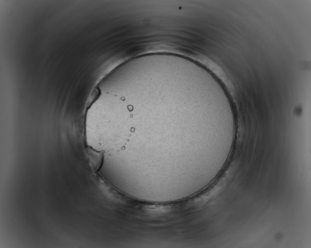 X0000102861145200809021418