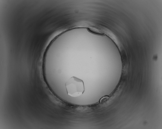 X0000102861146200809021418