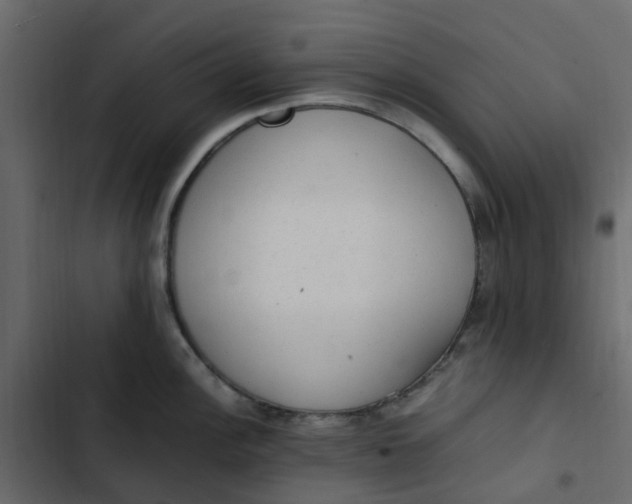 X0000102861148200809021418