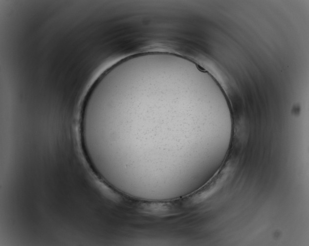 X0000102861149200809021418