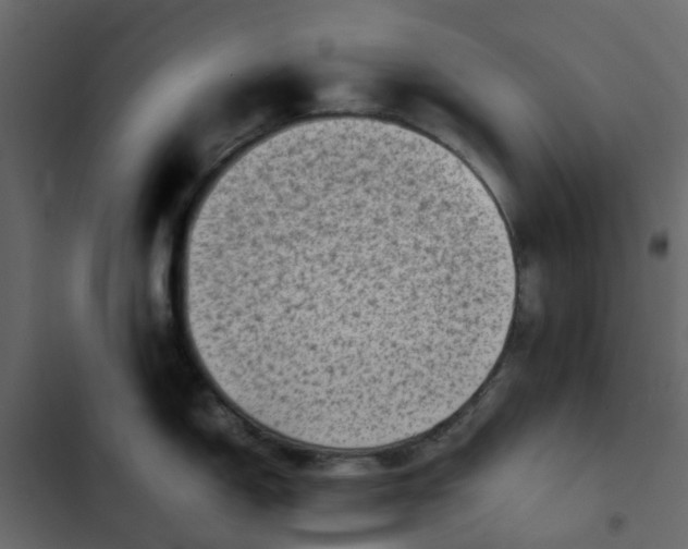 X0000102861150200809021418