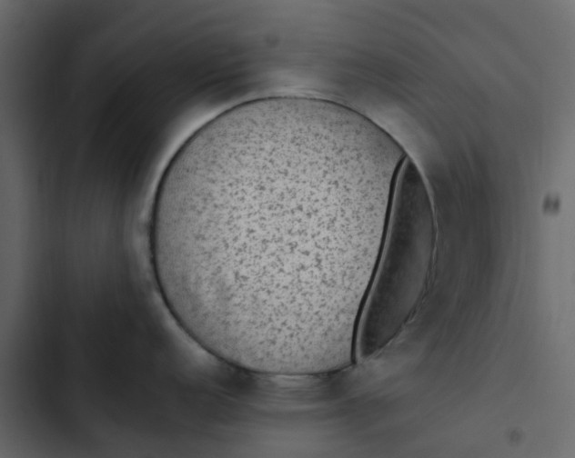 X0000102861152200809021418