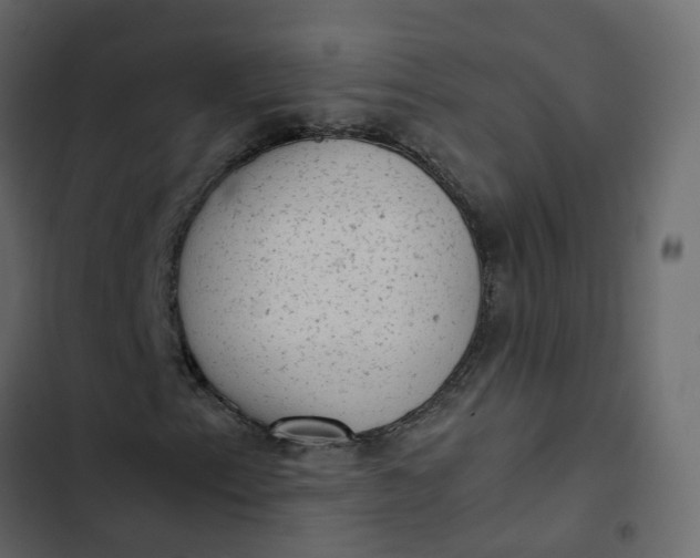 X0000102861153200809021418