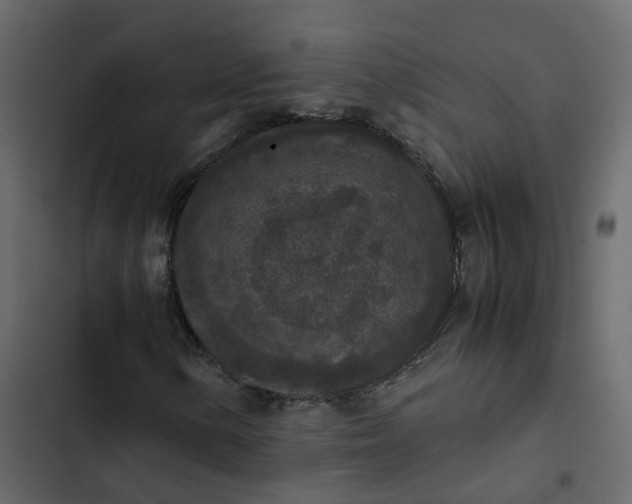 X0000102861154200809021418