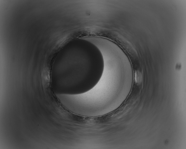 X0000102861155200809021418