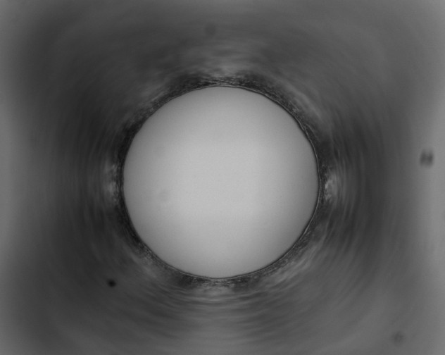 X0000102861156200809021418