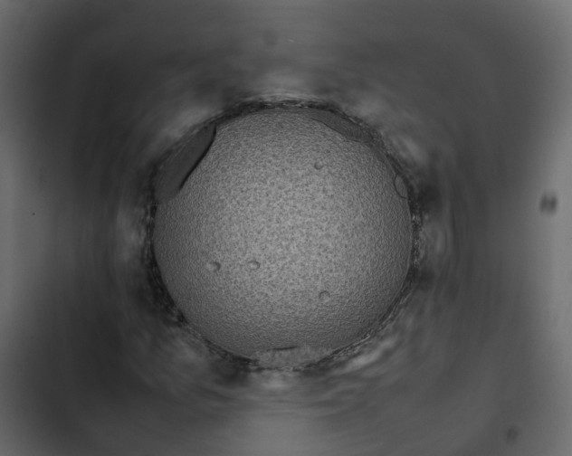 X0000102861157200809021418