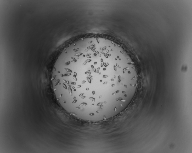 X0000102861158200809021418