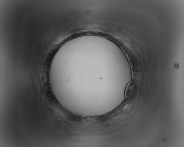 X0000102861159200809021418