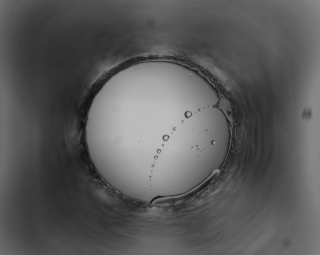 X0000102861160200809021418