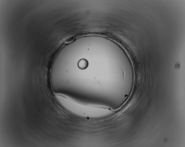 X0000102861161200809021418