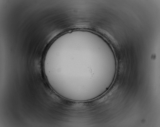 X0000102861162200809021418