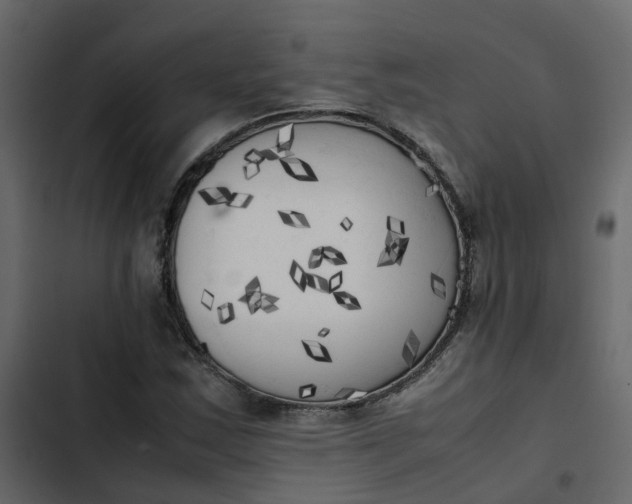 X0000102861163200809021418