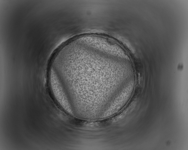 X0000102861165200809021418