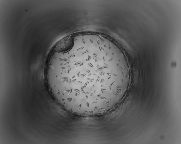 X0000102861166200809021418