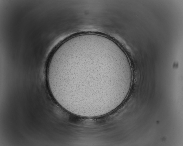 X0000102861167200809021418