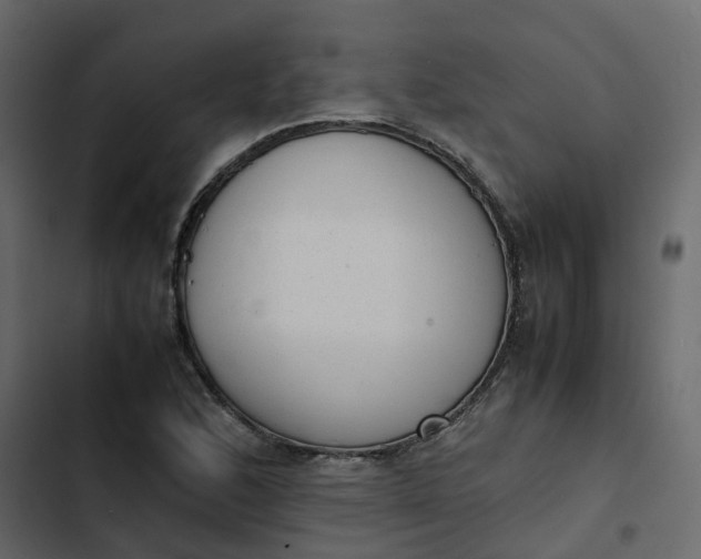 X0000102861168200809021418