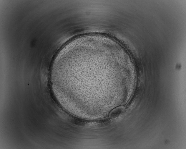 X0000102861169200809021418