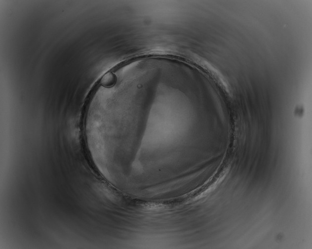 X0000102861170200809021418