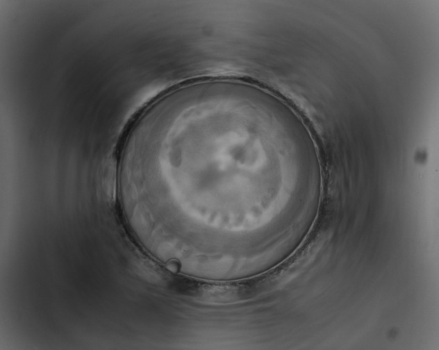 X0000102861171200809021417