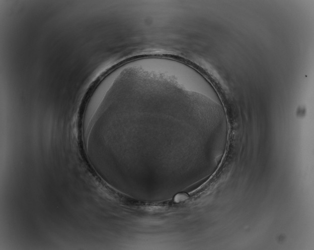 X0000102861173200809021417