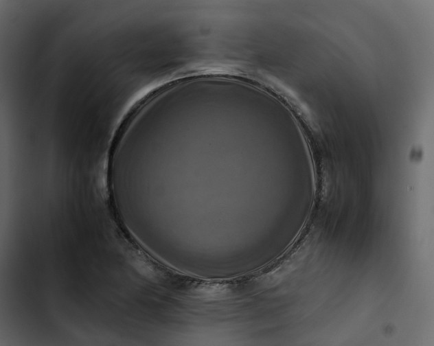 X0000102861174200809021417