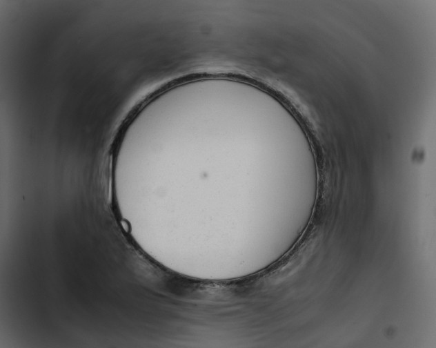 X0000102861175200809021417