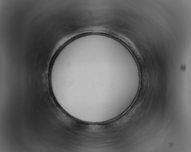 X0000102861176200809021417