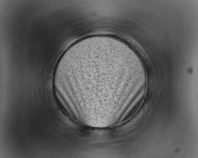 X0000102861177200809021417