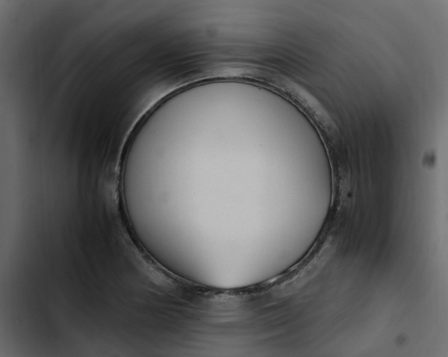 X0000102861178200809021417