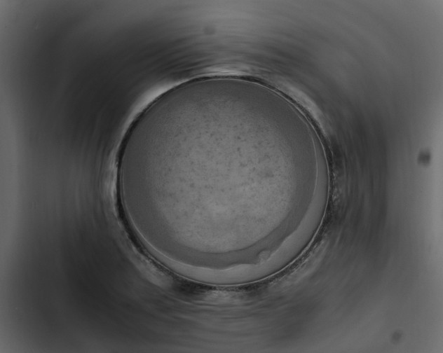 X0000102861179200809021417