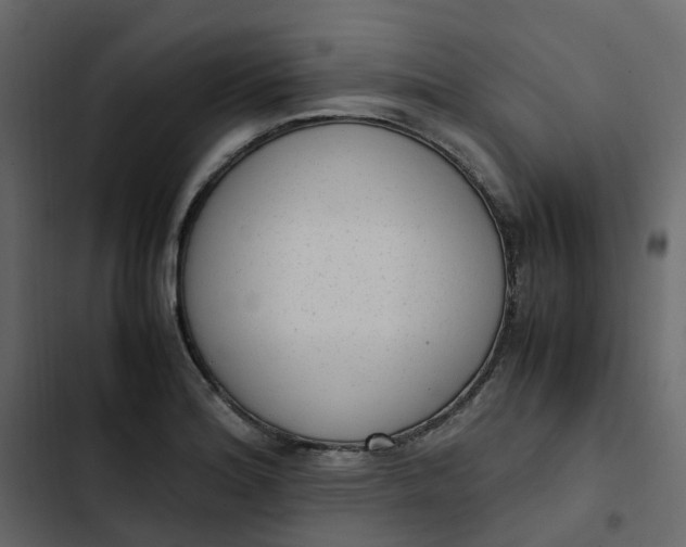 X0000102861180200809021417