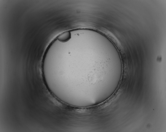 X0000102861182200809021417